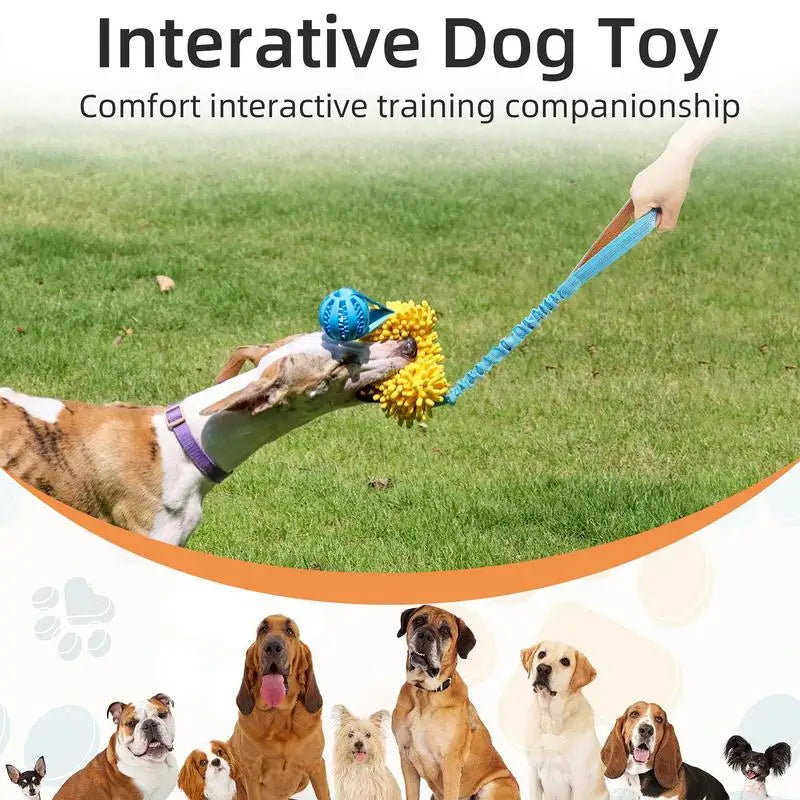 Dog Tug Toy