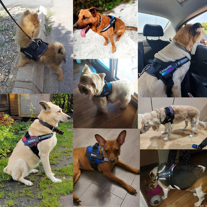 Dog Harness NO PULL Reflective Breathable Adjustable