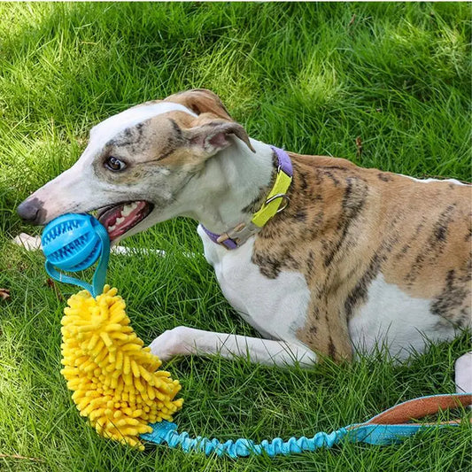 Dog Tug Toy