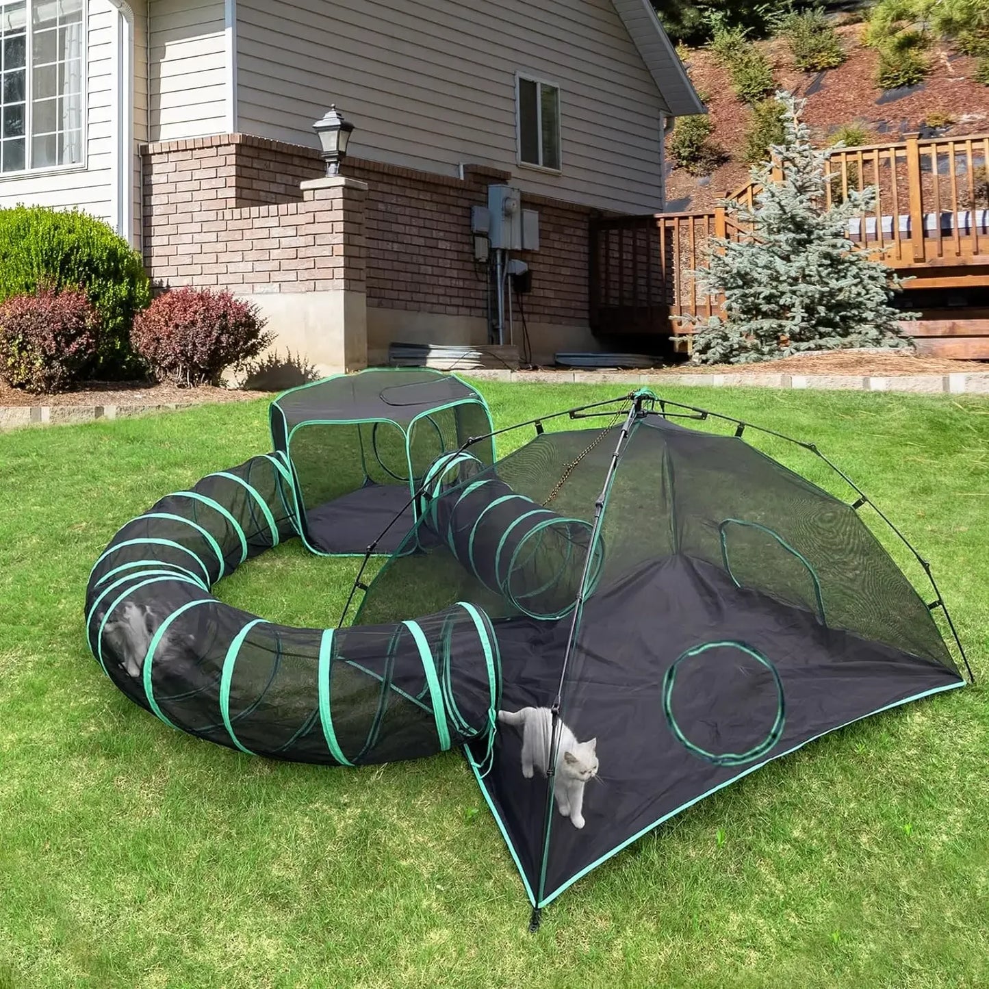 6-in-1 Outdoor Cat Play Tents and Tunnels